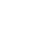 Tecnico